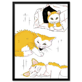 Plakat w ramie Charakter kota - ilustracja