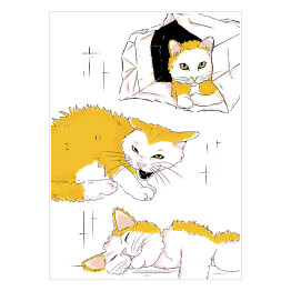 Plakat samoprzylepny Charakter kota - ilustracja