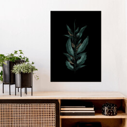 Plakat samoprzylepny Kompozycja z tropikalnych liści