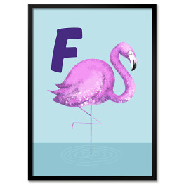 Plakat w ramie Alfabet - F jak flaming