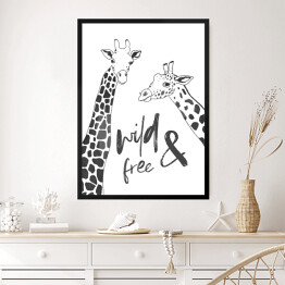Obraz w ramie Czarno białe żyrafy - ilustracja z napisem "wild & free"