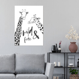 Plakat Czarno białe żyrafy - ilustracja z napisem "wild & free"