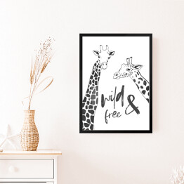 Obraz w ramie Czarno białe żyrafy - ilustracja z napisem "wild & free"