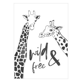Plakat samoprzylepny Czarno białe żyrafy - ilustracja z napisem "wild & free"