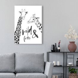 Obraz klasyczny Czarno białe żyrafy - ilustracja z napisem "wild & free"