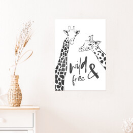 Plakat samoprzylepny Czarno białe żyrafy - ilustracja z napisem "wild & free"