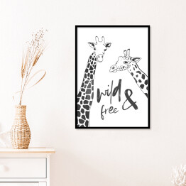Plakat w ramie Czarno białe żyrafy - ilustracja z napisem "wild & free"