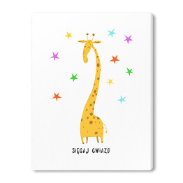 Żyrafa - "Sięgaj gwiazd"