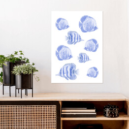 Plakat Koralowce - rybki
