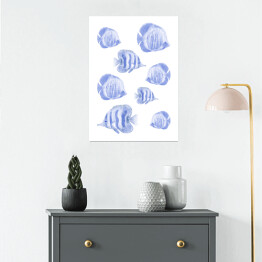 Plakat Koralowce - rybki