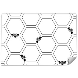 Czarne plastry miodu z pszczołą 