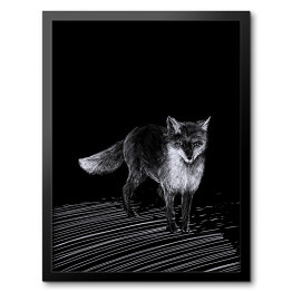 Obraz w ramie Ilustracja - czarny lis