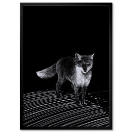 Plakat w ramie Ilustracja - czarny lis