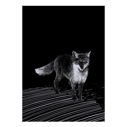 Plakat samoprzylepny Ilustracja - czarny lis