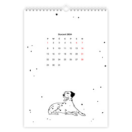 Kalendarz 13-stronicowy Kalendarz z dalmatyńczykiem
