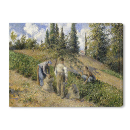 Obraz na płótnie Camille Pissarro Żniwa, Pontoise. Reprodukcja