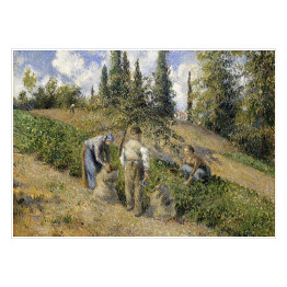 Plakat Camille Pissarro Żniwa, Pontoise. Reprodukcja