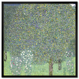 Plakat w ramie Gustav Klimt Krzewy różane pod drzewami. Reprodukcja obrazu