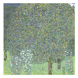 Plakat samoprzylepny Gustav Klimt Krzewy różane pod drzewami. Reprodukcja obrazu