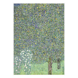 Plakat Gustav Klimt Krzewy różane pod drzewami. Reprodukcja obrazu