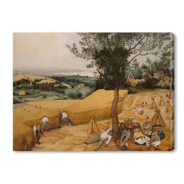 Obraz na płótnie Pieter Bruegel "Żniwa"