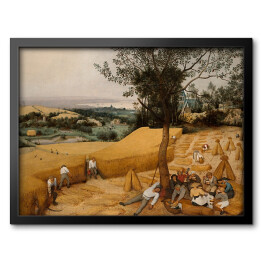Obraz w ramie Pieter Bruegel "Żniwa"