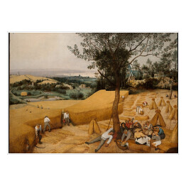 Plakat Pieter Bruegel "Żniwa"