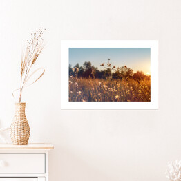 Plakat samoprzylepny Łąka w promieniach wschodzącego słońca