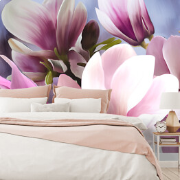 Fototapeta winylowa zmywalna Jasne różowe magnolie