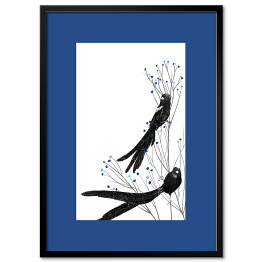 Obraz klasyczny Widowbird - dwa czarne ptaki na gałęziach na białym tle - ilustracja