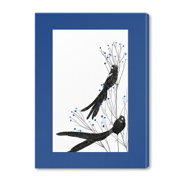Obraz na płótnie Widowbird - dwa czarne ptaki na gałęziach na białym tle - ilustracja