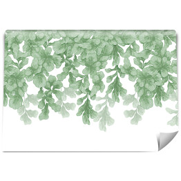 Fototapeta winylowa zmywalna Roślina wisząca - Ficus Lyrata (Figowiec dębolistny) - malowane liście