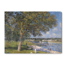 Obraz na płótnie Alfred Sisley "Drzewo orzecha włoskiego w polu Thomery" - reprodukcja