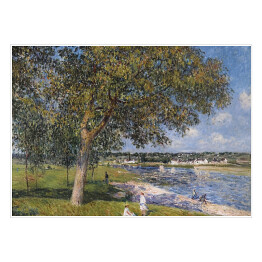 Plakat samoprzylepny Alfred Sisley "Drzewo orzecha włoskiego w polu Thomery" - reprodukcja