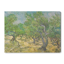 Obraz na płótnie Vincent van Gogh "Gaj oliwny II" - reprodukcja