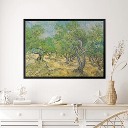 Obraz w ramie Vincent van Gogh "Gaj oliwny II" - reprodukcja