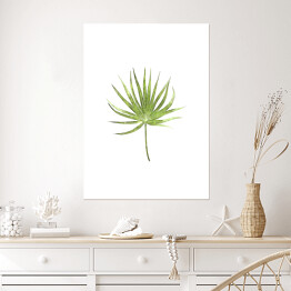 Plakat samoprzylepny Tropikalny liść na białym tle