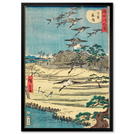 Plakat w ramie Utugawa Hiroshige Gęsi w Shirahige. Reprodukcja obrazu