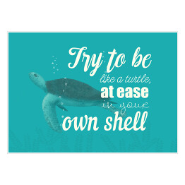 Plakat Morska typografia - try to be like a turtle at ease in your own shell