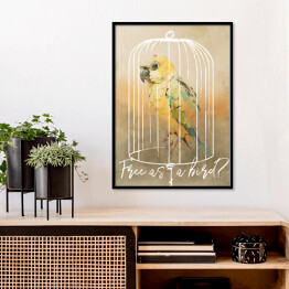 Plakat w ramie Papuga w klatce 