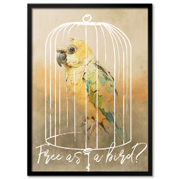 Obraz klasyczny Papuga w klatce 