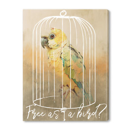 Obraz na płótnie Papuga w klatce 