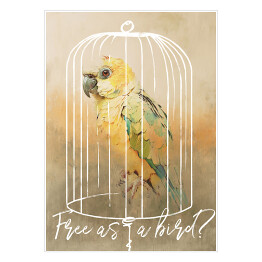 Plakat samoprzylepny Papuga w klatce 