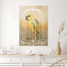 Plakat Papuga w klatce 