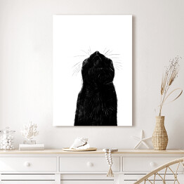 Obraz na płótnie Czarny kot z długimi wąsami
