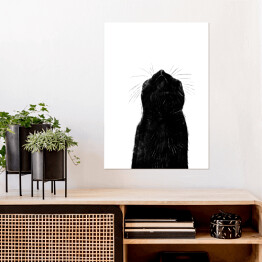 Plakat samoprzylepny Czarny kot z długimi wąsami