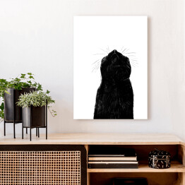 Obraz klasyczny Czarny kot z długimi wąsami
