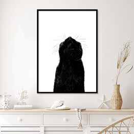 Plakat w ramie Czarny kot z długimi wąsami