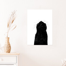 Plakat Czarny kot z długimi wąsami