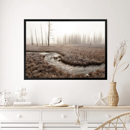 Obraz w ramie Strumień w lesie we mgle